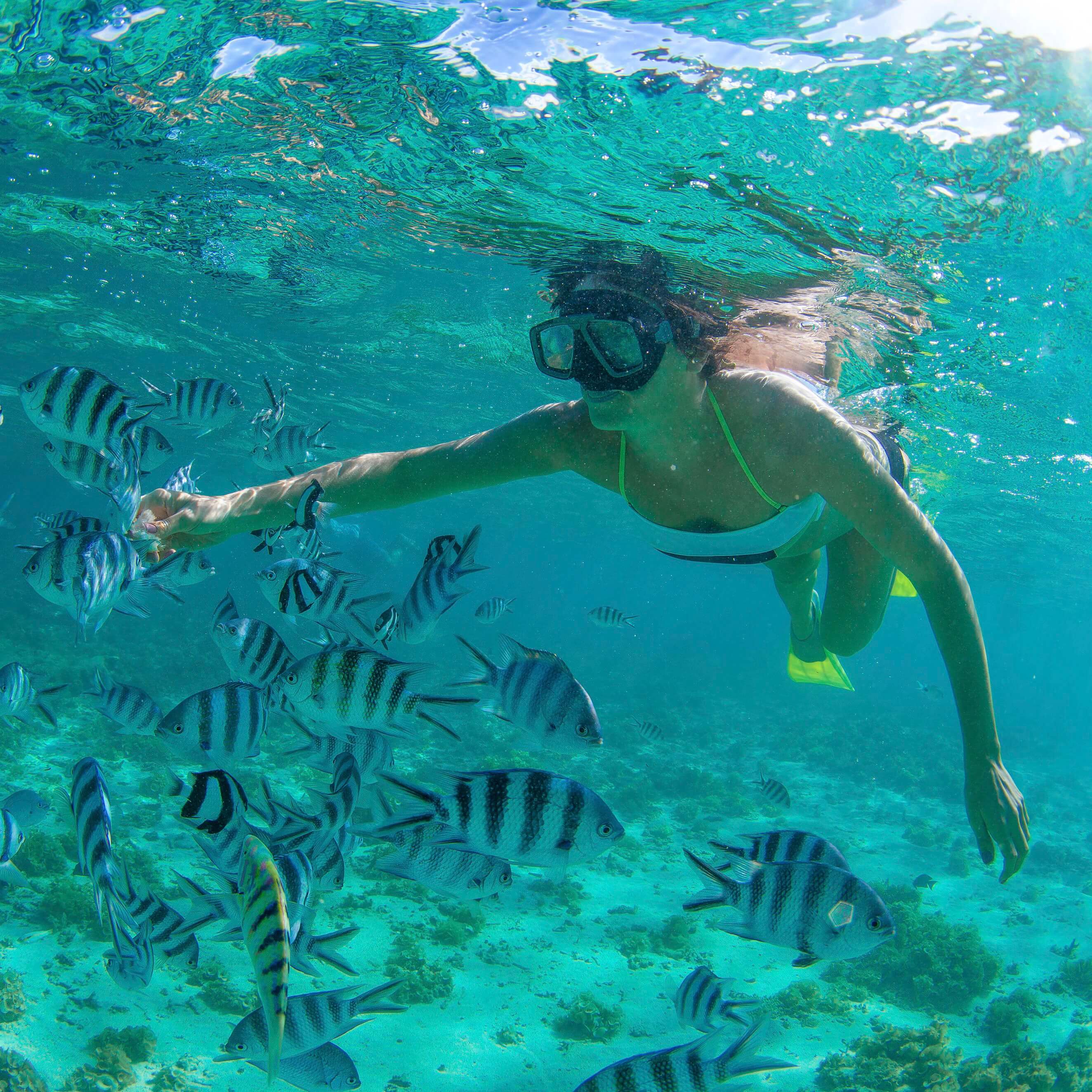 Crystal clear waters in Cabo Pulmo