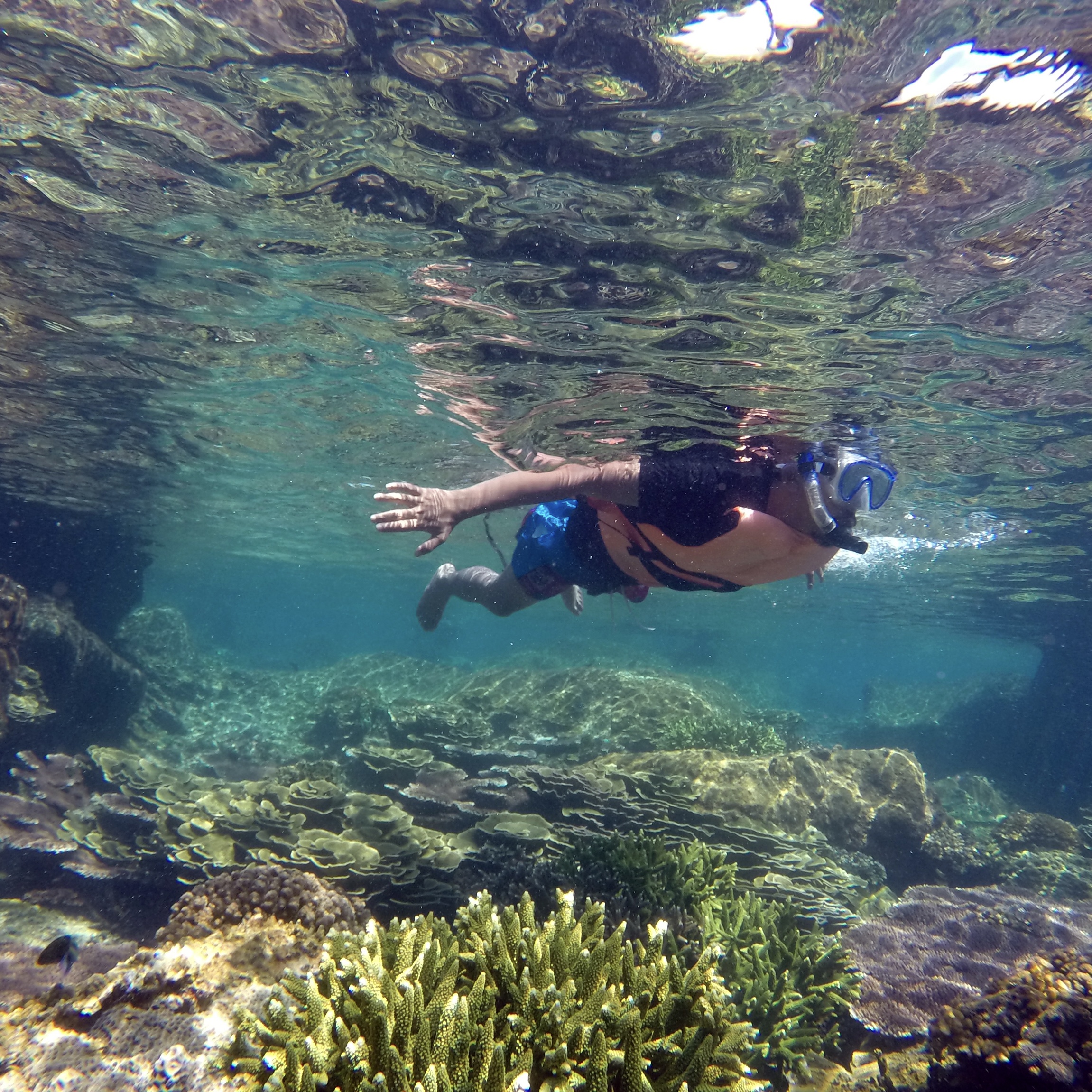 Cabo Pulmo Snorkel Expedition
